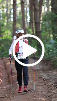 BIB:  <button type="button" onclick="openModal(26569865)" class="btn btn-primary btn-sm float-right" data-toggle="modal" data-target=".modal-high-quality">
                <i class="fa fa-download"></i> Download
                </button>